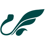 ماهان