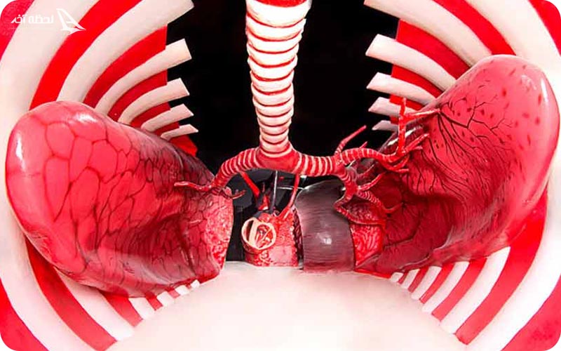 پارک علمی پروفسور بازیما پارک علمی پروفسور بازیما