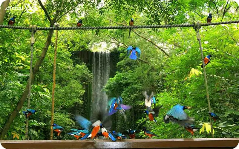 شماره تلفن باغ پرندگان کیش