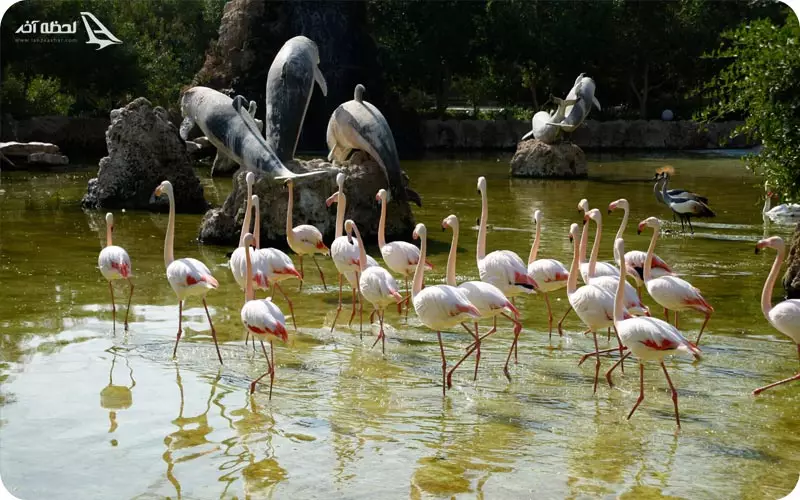 باغ پرندگان