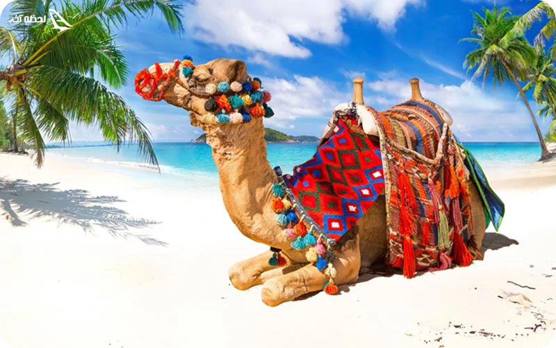 با سفر به عمان سنت و مدرنیته را در یک قاب ببینید با سفر به عمان سنت و مدرنیته را در یک قاب ببینید