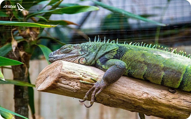 باغ گیاه شناسی باغ گیاه شناسی
