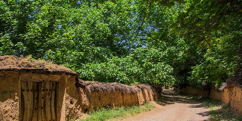 قصرالدشت شیراز؛ تجربه زندگی در قلب شیراز