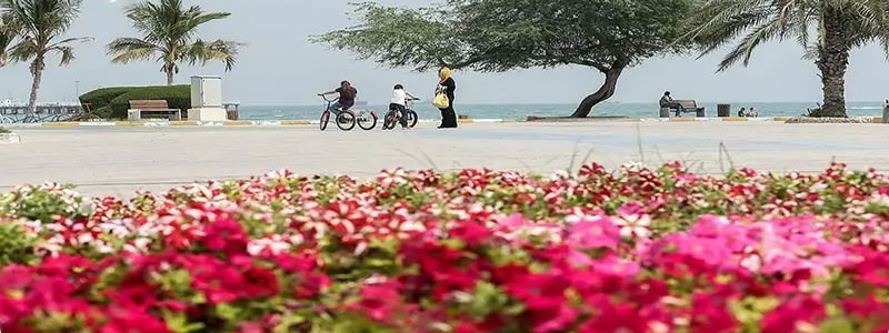 رزرو تور کیش نوروز