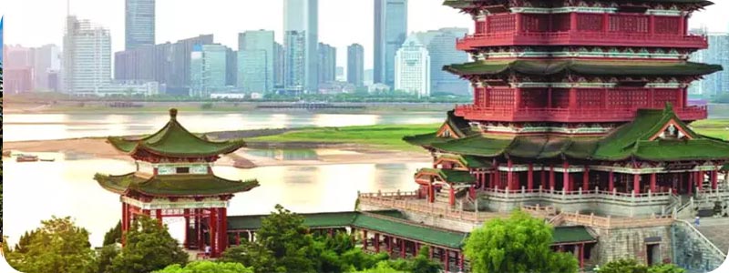 رزرو تور شنزن